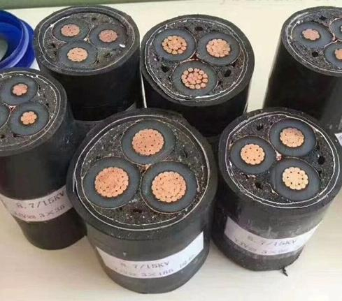 南洋高壓電力電纜 /upfile/202304/2023042430677777.jpg